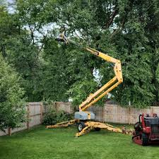 Best Tree Mulching  in Rockdale, IL