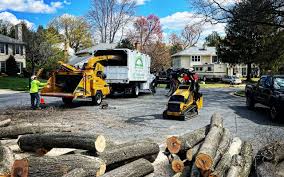 Best Storm Damage Tree Cleanup  in Rockdale, IL