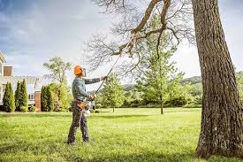 Best Pest Control for Lawns  in Rockdale, IL